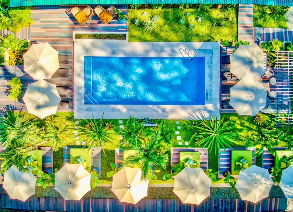 Exotico Beach Hotel Puerto Viejo de Talamanca Extérieur photo