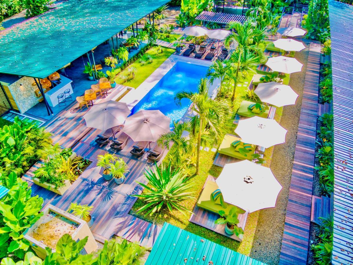 Exotico Beach Hotel Puerto Viejo de Talamanca Extérieur photo