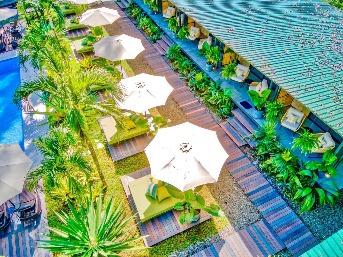 Exotico Beach Hotel Puerto Viejo de Talamanca Extérieur photo