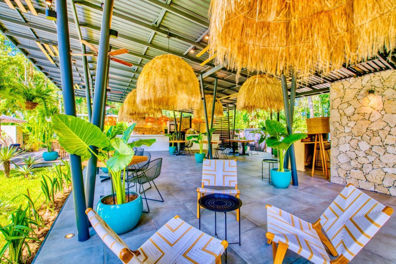 Exotico Beach Hotel Puerto Viejo de Talamanca Extérieur photo